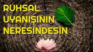 RUHSAL UYANIŞININ NERESİNDESİN?  /Kendini Görmenin Yolları