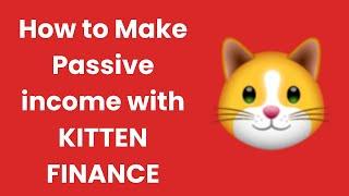 How to make money with Kitten Finance