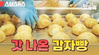 연 매출 200억?! 전국에서 줄 서서 먹는 춘천 감자빵, 어떻게 만들까? [갓 나온 맛도리 EP.4] / 스브스뉴스