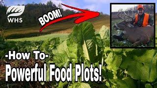 How To Plant Powerful Brassica Food Plots