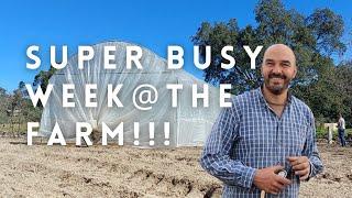 A busy week at the farm | The Farming Chefs | Ep 20