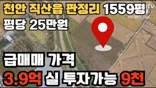 (10220)직산읍 판정리에 위치한 투자및 대토용 농지 1559평 매매가 3억9천만원 평단가 25만원 급매 #천안부동산 #천안토지 #토지매매 #급매물