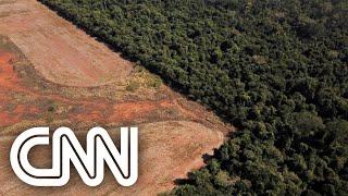 Tasso Azevedo, coordenador técnico do Observatório do Clima | CNN DOMINGO