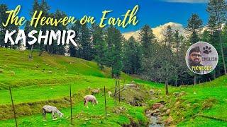 Heaven on Earth | Most Beautiful place in India | Kashmir English 4k