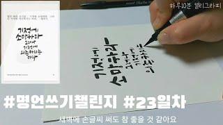 #명언으로배우는캘리그라피 #짧은문장 [23일차] 하루 10분 캘리그라피로 힐링하세요