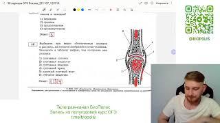 Решаем задания по анатомии ОГЭ Рохлов 2023