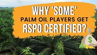 Why 'some' palm oil players get RSPO certified? (2022)