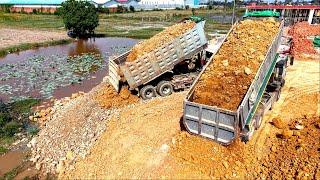 Impassive Komatsu D58E & D58A Dozer Pushing Soil Stone And Dump Trucks Filling Land Delete Water