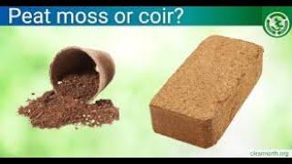 Difference between Peat Moss vs Coconut Coir and which one is a better soil amendment to use?