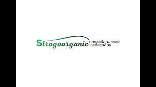 Об онлайн-школе садоводов Strogoorganic #strogoorganic