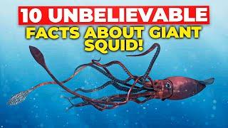 10 Unbelievable Facts about GIANT Squid!