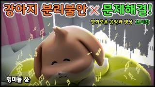 #멍마들  강아지의 편안한 수면 침대에서 잠드는 순간 (12시간) - Dog's comfortable sleep