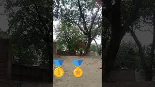 devnahari ground India