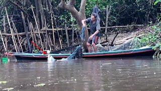 BEGINILAH KALAU LAGI MUSIM IKAN TOMAN TURUN