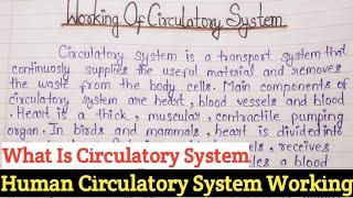 Human Circulatory System Working In English | Circulatory System Working Essay | Circulatory System