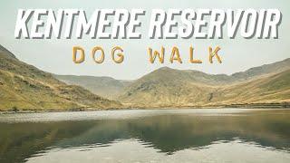 Kentmere Reservoir Dog Walk // Lake District Miles Without Stiles 6 Mile Loop, we got lost as usual!