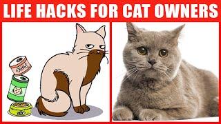 Cat Life Hacks That’ll Change Your Life