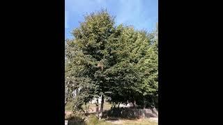 в селе часть 4