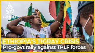 Ethiopia's pro-government supporters protest against TPLF in Addis Ababa