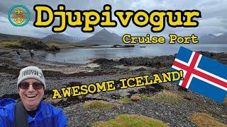 Djupivogur Cruise Port Guide! What to do on your port day!