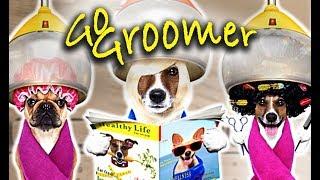 So you want to be a Dog Groomer