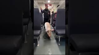 china special train  #shorts