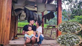 2 years of being a single father. Harvesting ingredients to make cakes on the full moon day