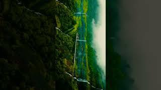 GM Relaxation - Music #shorts #nature #status youtube.com/@gmrelaxation-music
