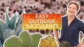 5 Easy Outdoor Succulents (& How to Care for Them!)