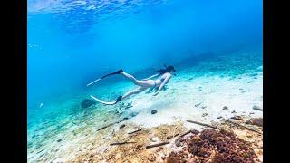 보라카이 호핑투어 프리다이빙 스노클링 스킨다이빙 boracay boracayfreedive boracayfreediving boracaydiving