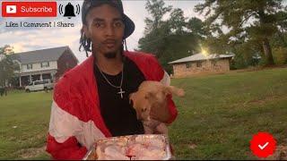 Raw an Uncut Raw Feeding Video With High Drive Pitbulls In The Jungle  With MarcosTVG