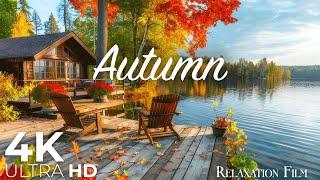 Autumn Forest 4K • Nature Relaxation Film with Peaceful Relaxing Music and Nature Video Ultra HD