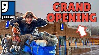 This GOODWILL GRAND OPENING Was INSANE - Antique GRAIL Found Plus TONS of Profit to Resell!