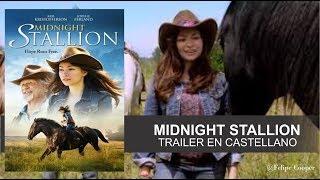 midnight stallion trailer