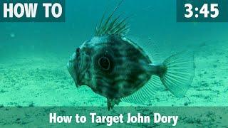 How to Target John Dory