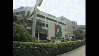 1974: Ayala invests in Globe