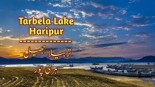 Tarbela Lake Haripur | Fly fishing | Resort | Travel Pakistan | Beauty of Pakistan.