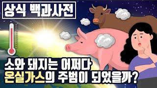 소와 돼지는 어쩌다 온실가스의 주범이 되었을까? [상식백과사전]