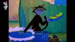 Tom And Jerry Bangla Carton Full Video