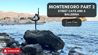 Montengro Part 2: Street Cats And A Ballerina