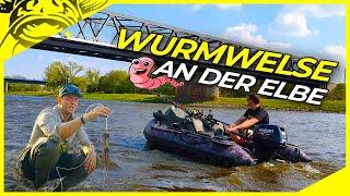 WELSANGELN an der ELBE mit WURMER | Techniken & Montagen | Welsangeln in Deutschland