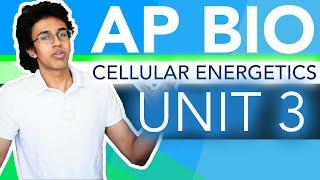 AP Biology Unit 3 Crash Course: Cellular Energetics!