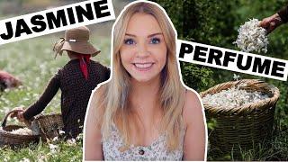 HOW JASMINE PERFUME IS MADE | JASMINE SAMBAC vs NIGHT-BLOOMING JASMINE | Soki London