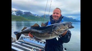 BIG FISH ADVENTURE - SØRØYA - Hasvik ( 4K ) All Inclusive Group 2020