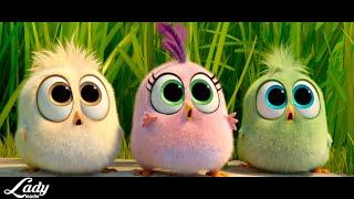 J.Geco - Chicken Song  / The Angry Birds ( Music Video HD)