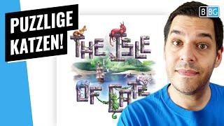 Die Insel Der Katzen  Rezension / Test [Brettspiel]