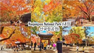 Naejangsan National Park (내장산국립공원) || Fall In South Korea 2022