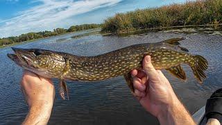 Pike Fishing On The Kayak! Cherokee Lake