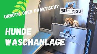 Hundewaschanlage FRESHDOGS | Unnötig oder praktisch?  Wir haben es ausprobiert | Wohnmobil mit Hund