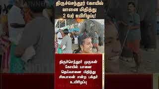 Tiruchendur temple elephant Deivanai trampled | 2 People Died | Sunnews